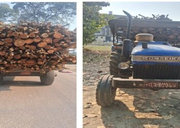 बेवारिसे अवस्थामा मसलाको काठ लोड भएको ट्रेक्टर रौतहट प्रहरीद्वारा बरामद