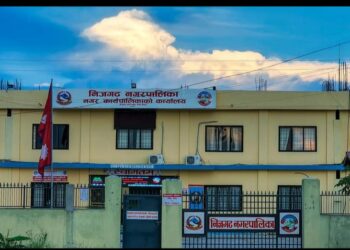 निजगढ नगरद्वारा सडक छेउमा अन्नबाली नसुकाउन र सामग्री हटाउन सुचना जारी