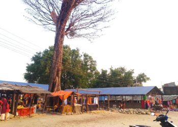 सिङ्गौल वनस्थली हाटबजारको १६ कोठे ट्रष्ट निर्माण सम्पन्न