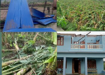 हावाहुरीले निजगढ नगर क्षेत्रमा धेरै  क्षति