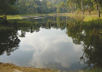 खडेरीले पानीका स्रोत सुक्दै, वन्यजन्तु लगायत मधेश समस्यामा