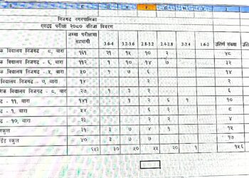 निजगढका सामुदायिक विद्यालय र संस्थागत विद्यालयको एसईई परिक्षाफल
