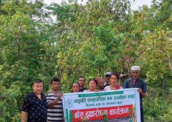 पशुपति सामुदायिक वनमा उन्नत लोकल जातको  बाँस रोपण