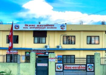 निजगढ नगरपालिकाद्वारा आयोजित बाली शिविर सम्पन्न