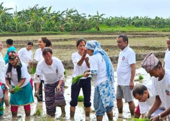 मनाए निजगढ नगरपालिकाले २१ औं राष्ट्रिय धान दिवस तथा रोपाइँ महोत्सव