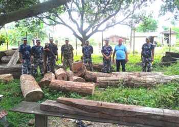 रौतहटमा सशस्त्र प्रहरीद्वारा सालको काठ बरामद