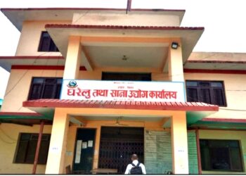 घरेलुमा दर्ता भए १ हजार ३ सय ४३ साना उधोग माध्ये ३ सय ८९ खारेज