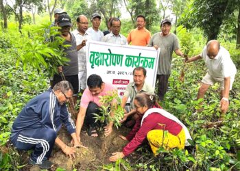 निजगढ नगरपालिका ७ नम्बर वडाद्वारा बृक्षारोपण कार्यक्रम