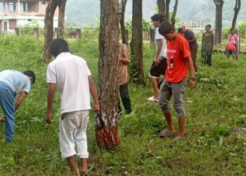 सामाजिक कार्यमा एकजुट युवा