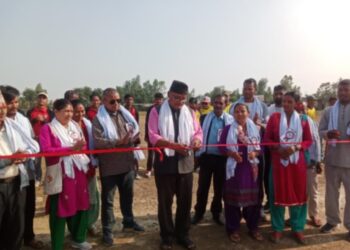 कोल्हवीमा चौथो क्रीकेट मेयर कप सुरु