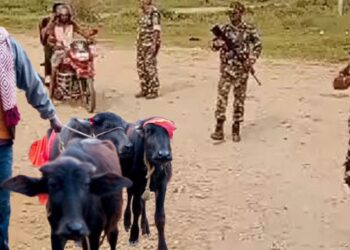 भारत सरकारद्वारा परम्परा माथि प्रहारः गढीमाईमा भक्तजनलाई खसी, बोका, राँगा नेपाल प्रवेशमा रोक