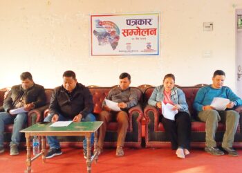 बारा निजगढ उद्योग वाणिज्य संघले पहिलो पटक निजगढ महोत्सव गर्दै