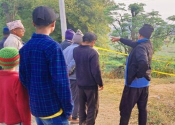 बर्दियामा जङ्गली हात्तीको आक्रमणबाट एक अवरुद्ध पूर्व–पश्चिम राजमार्ग ३ घण्टापछि खुले