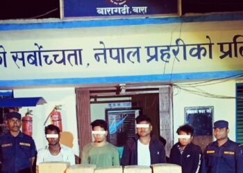 बारा प्रहरीले प्रतिबन्धित लागु औषध गाँजासहित ४ जना पक्राउ