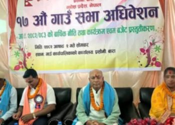 प्रसौनी गाउँपालिकाले ४१ करोड १ लाखको बजेट सार्वजनिक