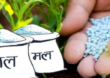 सिंगौलमा रासायनिक मलको चरम अभाव, केरालगायत बाली खेती गर्ने किसान प्रभावित