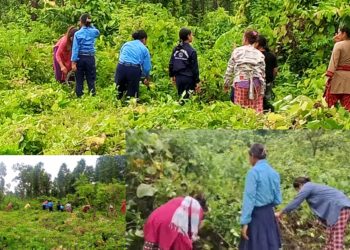 संविधान दिवसमा धारापानी सामुदायिक वन र वडा कार्यालयद्वारा सडक सरसफाइ