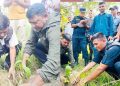 रौतहटमा ५ हेक्टर क्षेत्रमा वृक्षारोपण